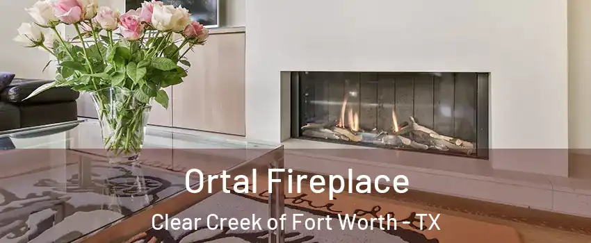 Ortal Fireplace Clear Creek of Fort Worth - TX