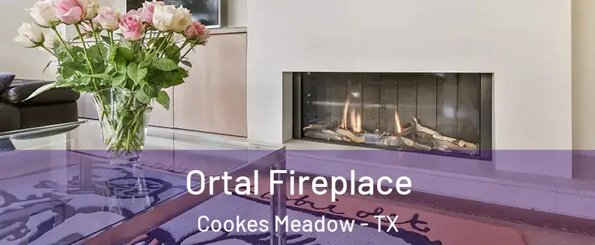 Ortal Fireplace Cookes Meadow - TX