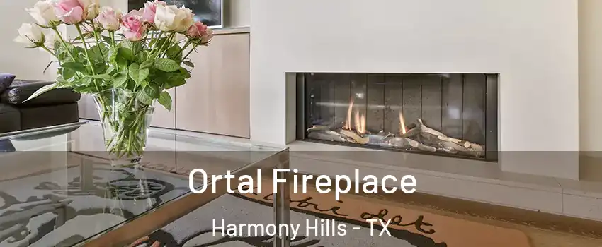 Ortal Fireplace Harmony Hills - TX