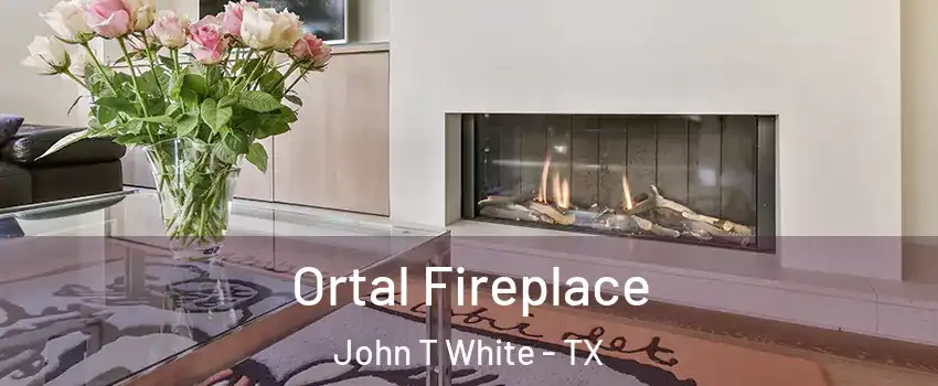 Ortal Fireplace John T White - TX