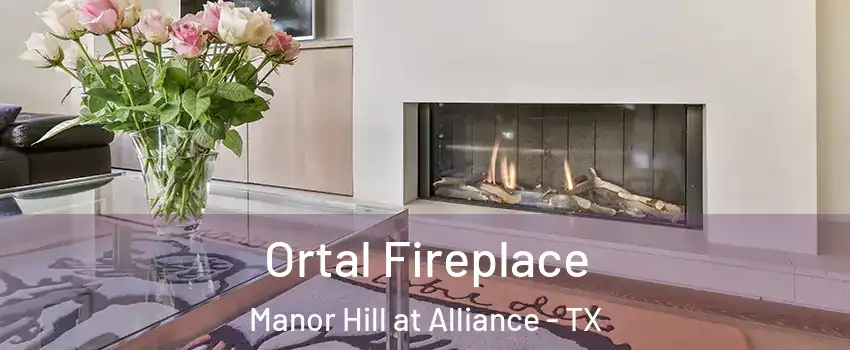 Ortal Fireplace Manor Hill at Alliance - TX