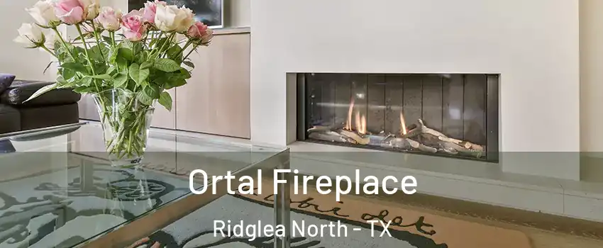 Ortal Fireplace Ridglea North - TX