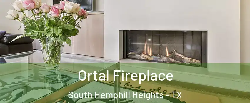 Ortal Fireplace South Hemphill Heights - TX