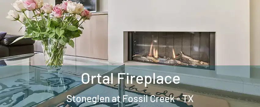 Ortal Fireplace Stoneglen at Fossil Creek - TX