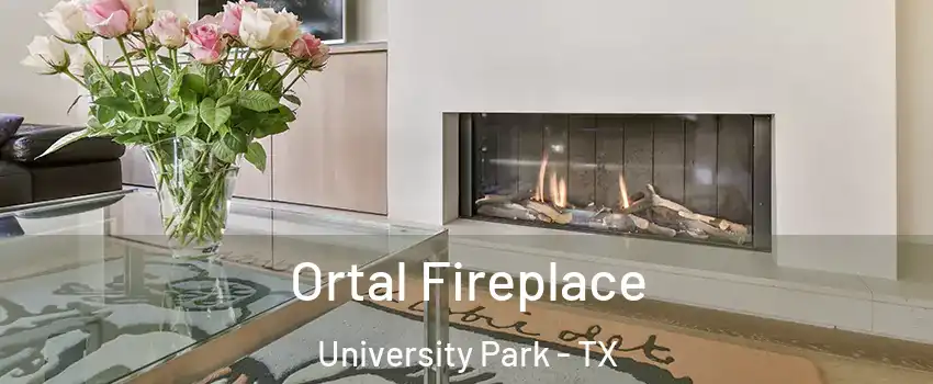 Ortal Fireplace University Park - TX