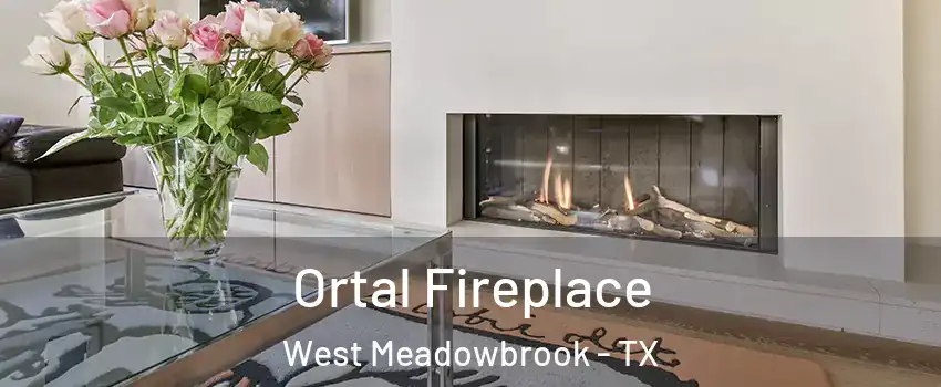 Ortal Fireplace West Meadowbrook - TX
