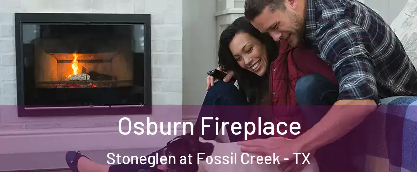 Osburn Fireplace Stoneglen at Fossil Creek - TX