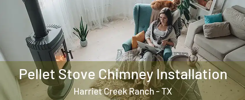 Pellet Stove Chimney Installation Harriet Creek Ranch - TX