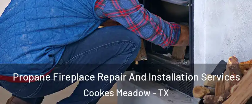 Propane Fireplace Repair And Installation Services Cookes Meadow - TX