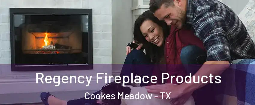 Regency Fireplace Products Cookes Meadow - TX