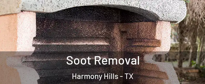 Soot Removal Harmony Hills - TX