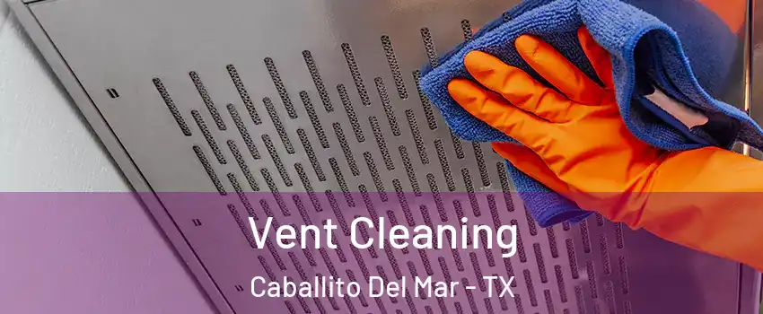 Vent Cleaning Caballito Del Mar - TX