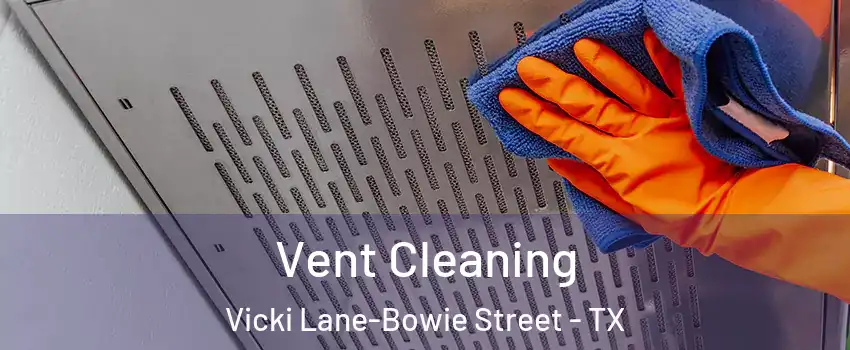 Vent Cleaning Vicki Lane-Bowie Street - TX