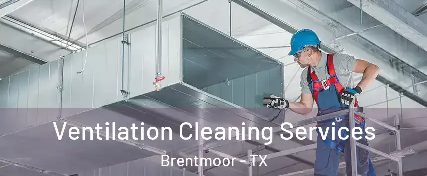 Ventilation Cleaning Services Brentmoor - TX