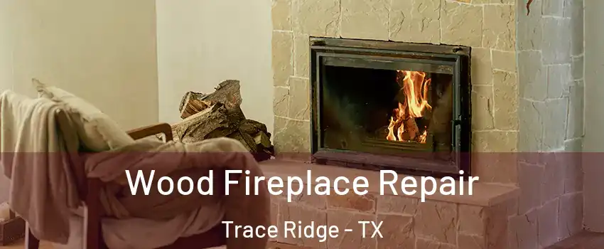 Wood Fireplace Repair Trace Ridge - TX