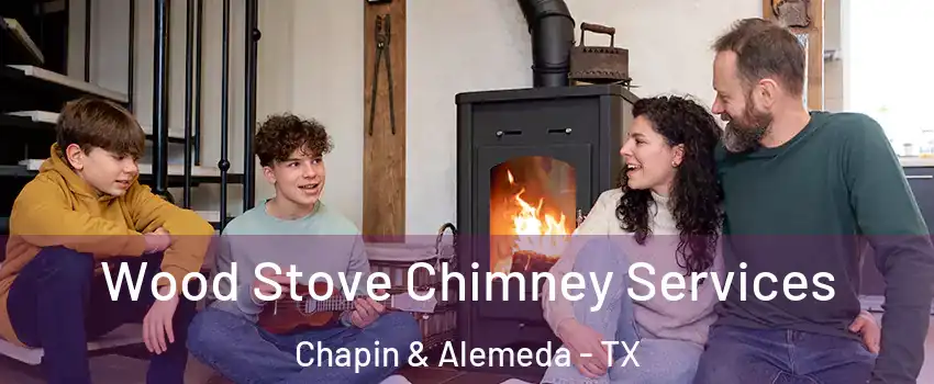 Wood Stove Chimney Services Chapin & Alemeda - TX
